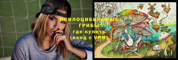 крисы Белокуриха