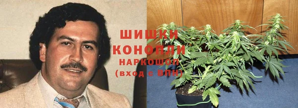 крисы Белокуриха